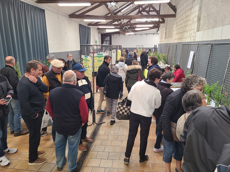 Foire aux fromages 2024